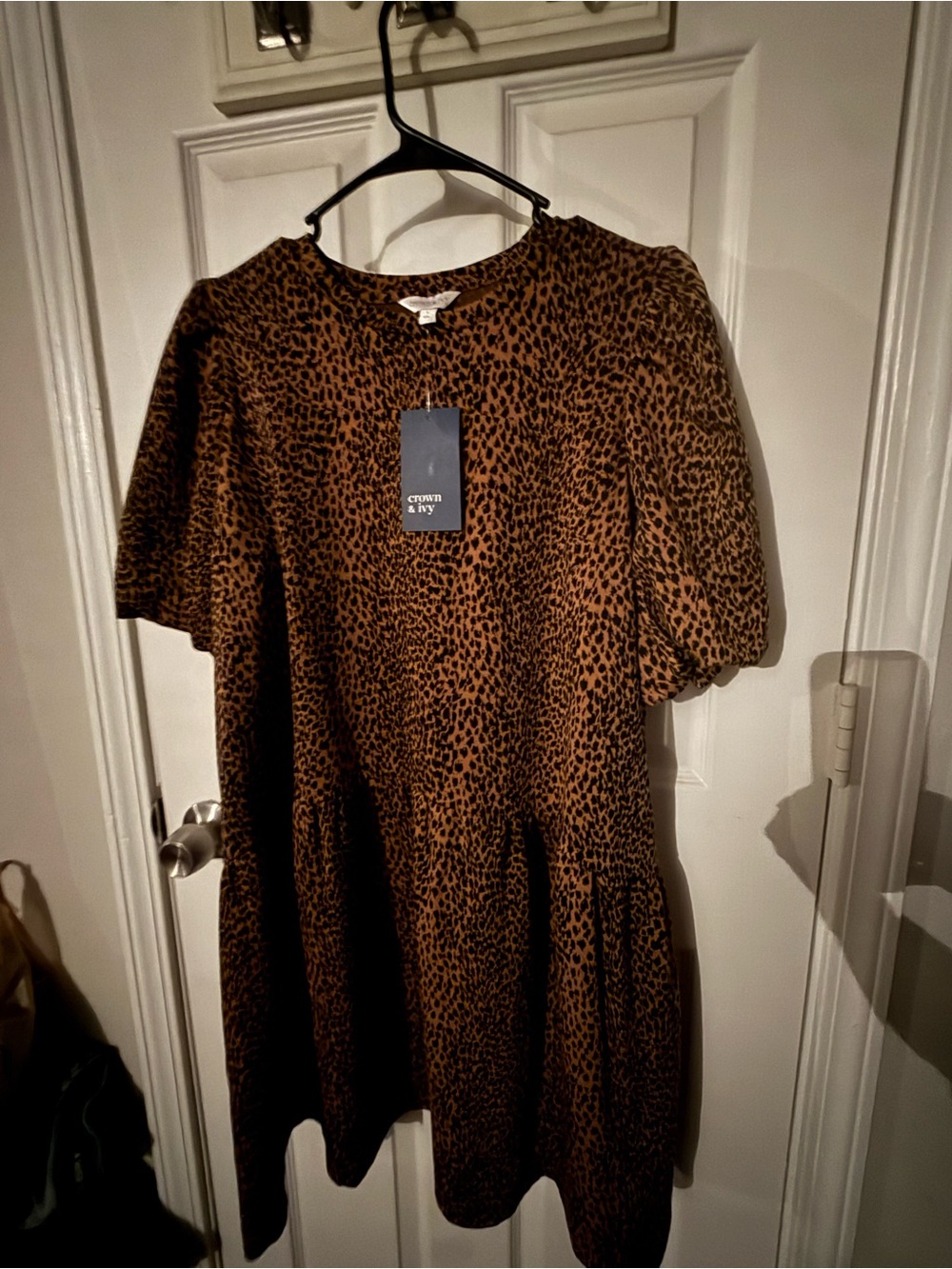 Crown Leopard Print Mini Dress in Brown and Black
